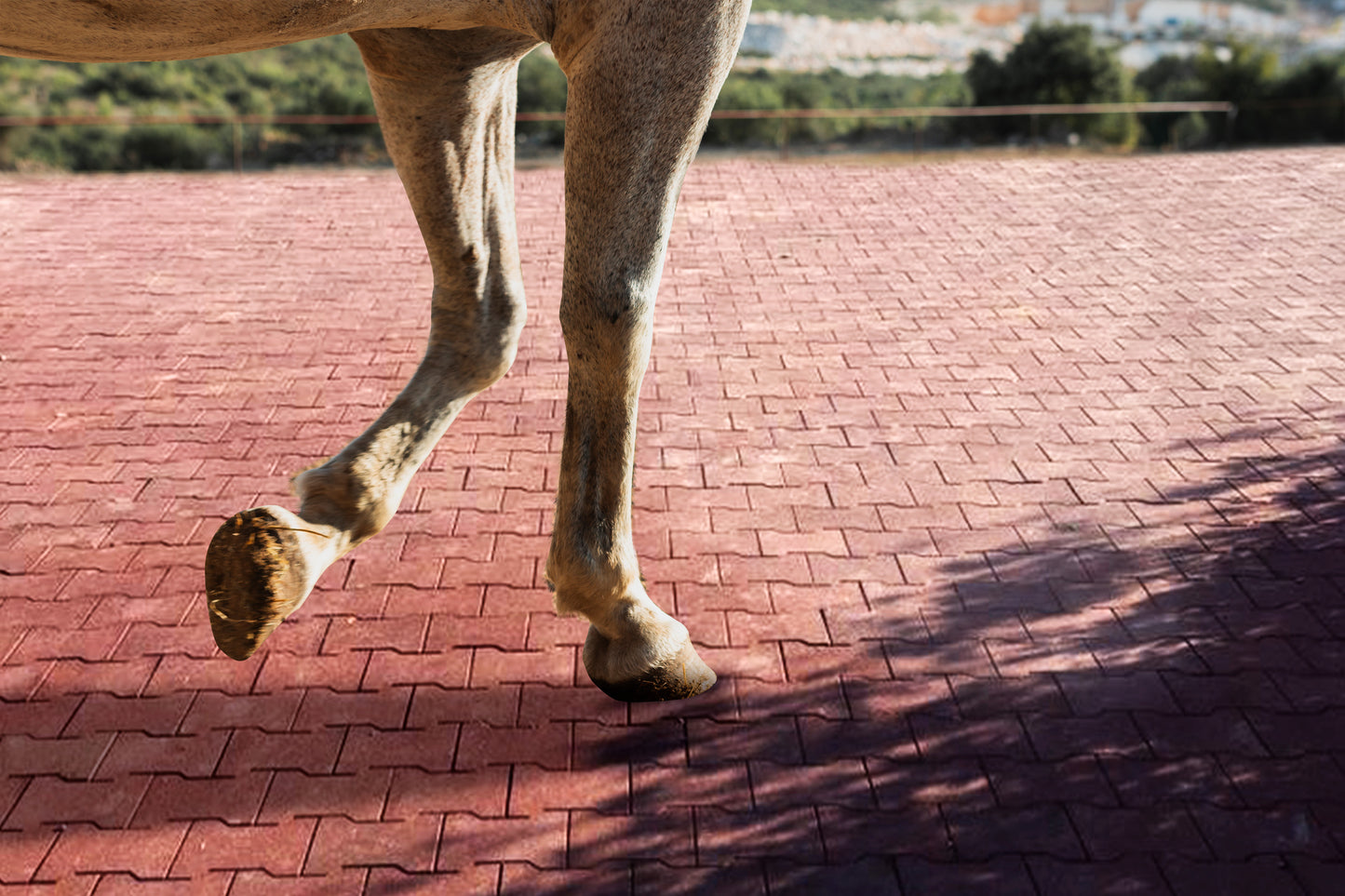 Adoquín de Hule Reciclado 25mm | Piso Antiderrapante Terracota para Caballerizas y Establos